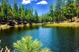1501 N Beeline Hwy, Payson, AZ 85541 - Photo 42