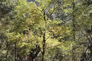 8351 N State Rte 89A, Sedona, AZ 86336 - Photo 38