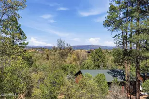 142 S Union Park Dr, Star Valley, AZ 85541 - Photo 40