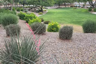 258 E Monza Way, San Tan Valley, AZ 85140 - Photo 46