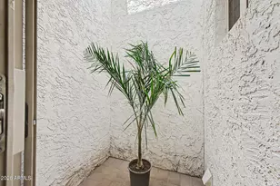4842 N 74th St, Scottsdale, AZ 85251 - Photo 12