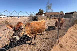 34206 W Wayland Dr, Tonopah, AZ 85354 - Photo 12