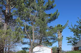 6830 N Frontier Rd, McNeal, AZ 85617 - Photo 38