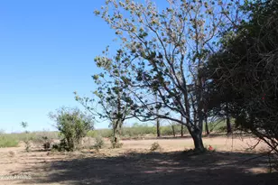 6830 N Frontier Rd, McNeal, AZ 85617 - Photo 42