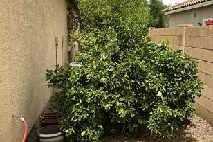 3011 E Janelle Way, Gilbert, AZ 85298 - Photo 34