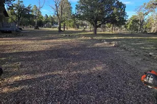 5823 Cougar Dr, Happy Jack, AZ 86024 - Photo 1