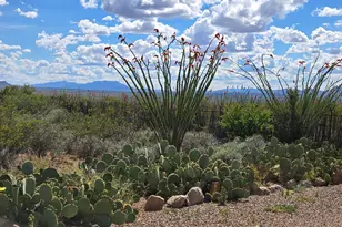 995 S Ruby Dare Rd, Bisbee, AZ 85603 - Photo 16