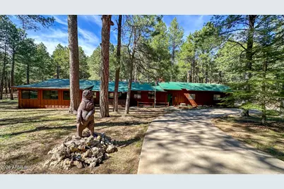 2499 Canyon Drive, Forest Lakes, AZ 85931 - Photo 2