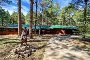 2499 Canyon Dr, Forest Lakes, AZ 85931 - Photo 2
