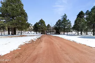 1625 Black Canyon Rd, Heber, AZ 85928 - Photo 6