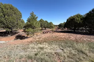 939 Moutain Trail Trail, Show Low, AZ 85901 - Photo 50