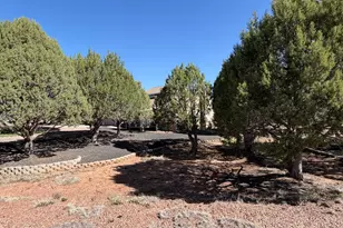 939 Moutain Trail Trail, Show Low, AZ 85901 - Photo 46
