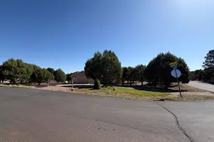 939 Moutain Trail Trail, Show Low, AZ 85901 - Photo 8