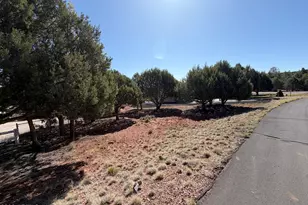 939 Moutain Trail Trail, Show Low, AZ 85901 - Photo 52