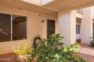7474 E Earll Dr, Scottsdale, AZ 85251 - Photo 4