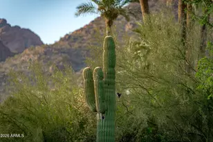 5434 E Camel Hill Rd, Phoenix, AZ 85018 - Photo 116