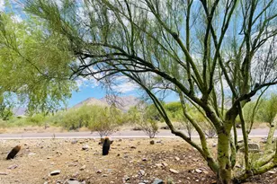 16420 N Thompson Peak Pkwy, Scottsdale, AZ 85260 - Photo 36