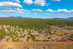 1150 N Three Bears Loop, Parks, AZ 86018 - Photo 80