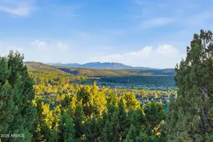6073 W Skyview Circle, Pine, AZ 85544 - Photo 8