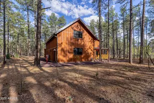630 N Lodge Pole Ln, Lakeside, AZ 85929 - Photo 40