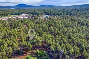 630 N Lodge Pole Ln, Lakeside, AZ 85929 - Photo 42