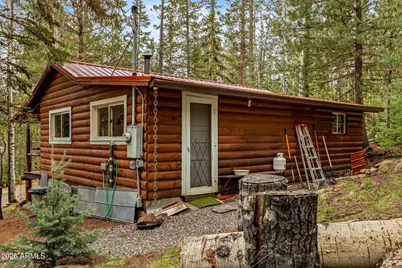 8 County Road 1006 --, Greer, AZ 85927 - Photo 20