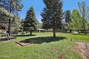 8229 W Parkinson Dr, Strawberry, AZ 85544 - Photo 40