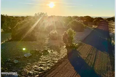 9023 Appaloosa Trl Lot A, 5 Acres -- #-, Show Low, AZ 85901 - Photo 8