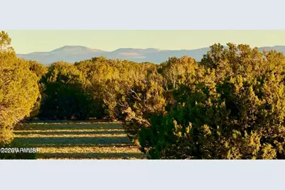 9023 Appaloosa Trl Lot A, 5 Acres -- #-, Show Low, AZ 85901 - Photo 20