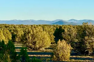 9023 Appaloosa Trl Lot A 5 Acres --, Show Low, AZ 85901 - Photo 1