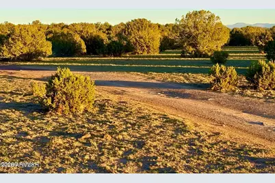 9023 Appaloosa Trl Lot A, 5 Acres -- #-, Show Low, AZ 85901 - Photo 12