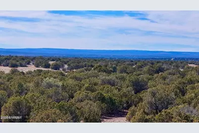 9023 Appaloosa Trl Lot A, 5 Acres -- #-, Show Low, AZ 85901 - Photo 16