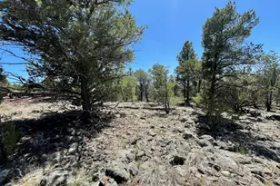 70 E Orchid Dr, Williams, AZ 86046 - Photo 58