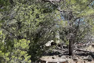 70 E Orchid Dr, Williams, AZ 86046 - Photo 62
