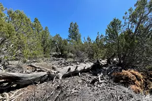 70 E Orchid Dr, Williams, AZ 86046 - Photo 60