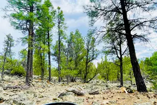 70 E Orchid Dr, Williams, AZ 86046 - Photo 46