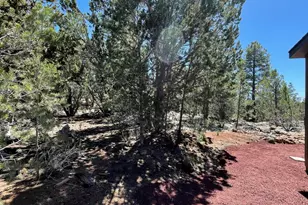 70 E Orchid Dr, Williams, AZ 86046 - Photo 48