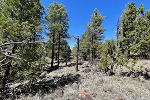 70 E Orchid Dr, Williams, AZ 86046 - Photo 66