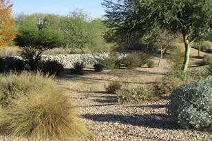 9246 W Molly Ln, Peoria, AZ 85383 - Photo 34