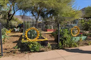 9815 N 5th Ave, Phoenix, AZ 85021 - Photo 22