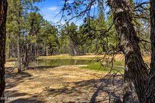 481 S Paintbrush Rd, Show Low, AZ 85901 - Photo 34