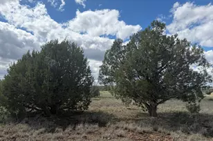 1 Hideaway Rd, Ash Fork, AZ 86320 - Photo 40