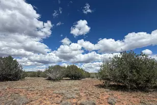1 Hideaway Rd, Ash Fork, AZ 86320 - Photo 40