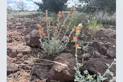 1 Hideaway Road, Ash Fork, AZ 86320 - Photo 34