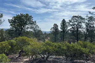 1703 E Redbud Ct, Payson, AZ 85541 - Photo 6