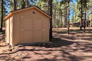 2425 Tall Trees Loop, Forest Lakes, AZ 85931 - Photo 36