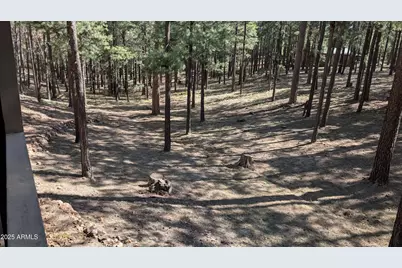 2425 Tall Trees Loop, Forest Lakes, AZ 85931 - Photo 28