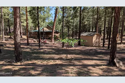 2425 Tall Trees Loop, Forest Lakes, AZ 85931 - Photo 36