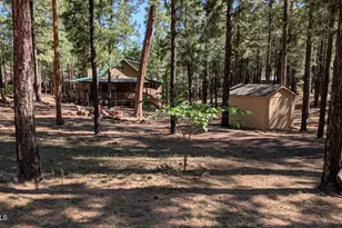 2425 Tall Trees Loop, Forest Lakes, AZ 85931 - Photo 36