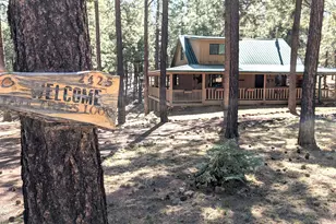 2425 Tall Trees Loop, Forest Lakes, AZ 85931 - Photo 2